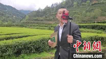 湖北茶农冉贞友在茶园里直播。阿里巴巴 供图 从驰援湖北到“吃”援湖北 淘宝村播让农民看见希望
